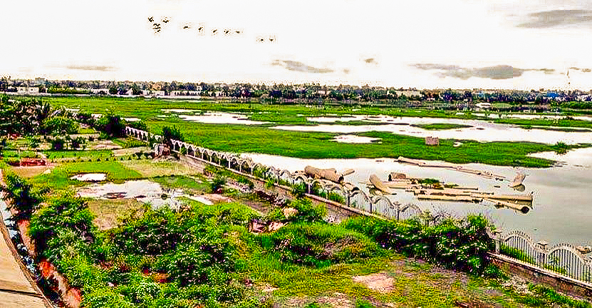 Grands bassins de la Niaye de Pikine, longés par l'enfilade de jardins depuis laquelle nous avons effectué une partie de nos comptages, Technopole de Dakar-Pikine, Sénégal